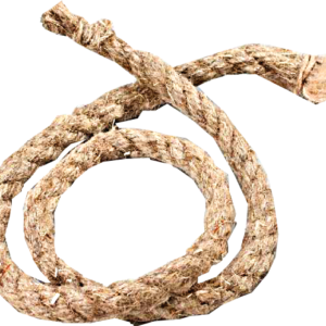 Boncellensis Secullant